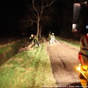 Boom over weg Leveroy 342