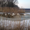 20120204-165853.jpg