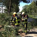 stormschade Wessemerdijk Nederweert 4