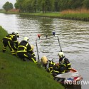 Hert verdronken in Zuid Willemsvaart Nederweert
